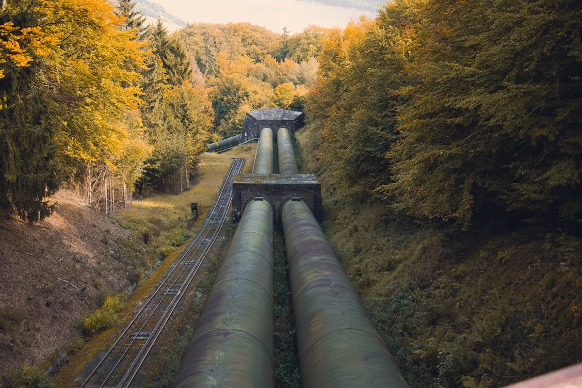 Industrial pipelines running through autumn forest landscape
